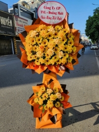 Kệ hoa khai trương, chúc mừng MS377
