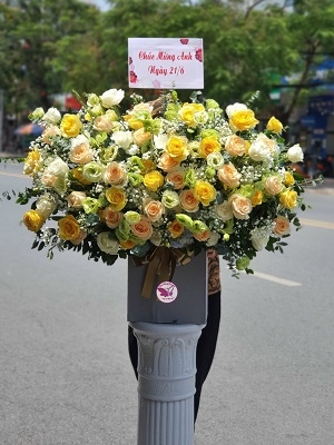 Hộp hoa, giỏ hoa chúc mừng MS232