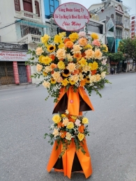 Kệ hoa khai trương, chúc mừng MS371