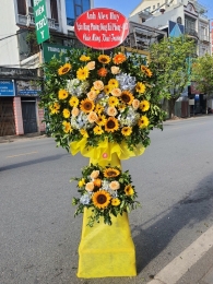 Kệ hoa khai trương, chúc mừng MS233