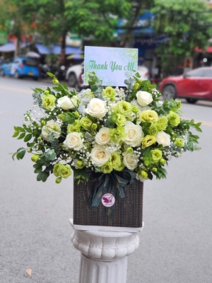 Hộp hoa, giỏ hoa chúc mừng MS216