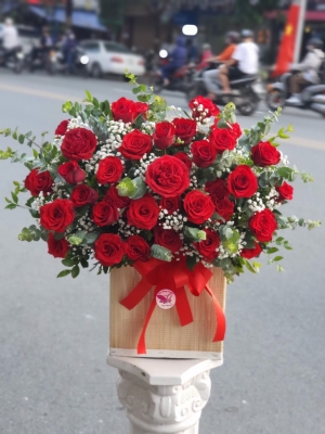 Bình, hộp hồng đỏ MS27