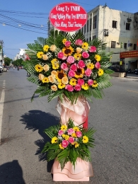 Kệ hoa khai trương, chúc mừng MS329