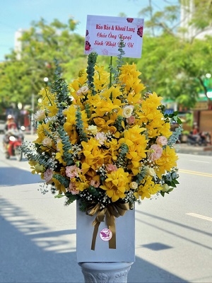Bình địa lan MS01