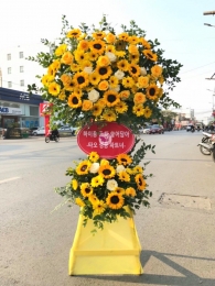 Kệ hoa khai trương, chúc mừng MS39