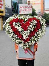 Bình, hộp hồng đỏ MS64