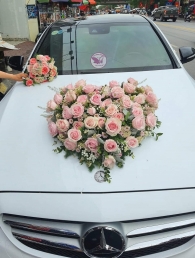 Combo Xe hoa + Cầm tay + Cài áo MS10