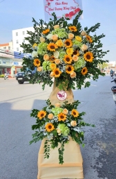 Kệ hoa khai trương, chúc mừng MS62