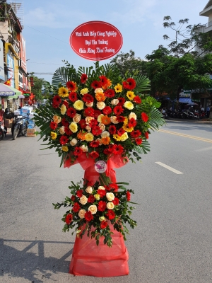 Kệ hoa khai trương, chúc mừng MS120