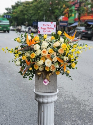 Hộp hoa, giỏ hoa chúc mừng MS279