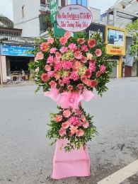 Kệ hoa khai trương, chúc mừng MS242