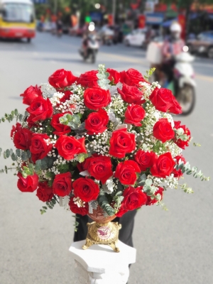 Bình, hộp hồng đỏ MS23