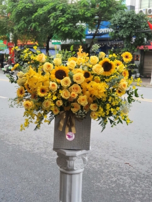 Hộp hoa, giỏ hoa chúc mừng MS198
