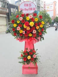Kệ hoa khai trương, chúc mừng MS320