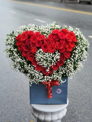 Bình, hộp hồng đỏ MS36