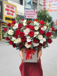 Bình, hộp hồng đỏ MS61