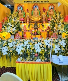 Hoa đám hiếu MS12