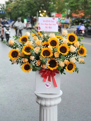 Hộp, giỏ hoa hướng dương MS09
