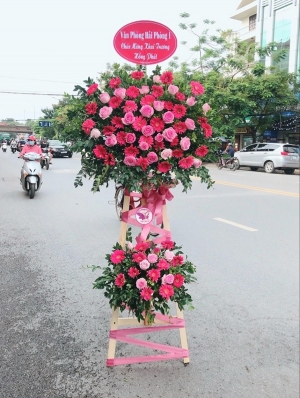 Kệ hoa khai trương, chúc mừng MS154
