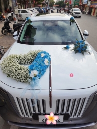 Combo Xe hoa + Cầm tay + Cài áo MS09