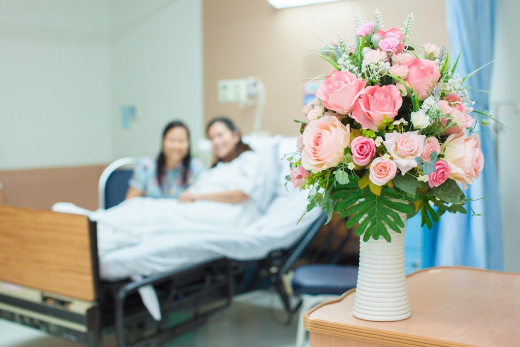 6 loài hoa tươi chúc sức khỏe được ưu chuộng nhất tại Hải Phòng