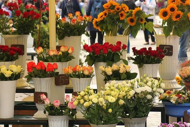 Cửa hàng điện hoa An Lão Hải Phòng chuyên nghiệp, uy tín nhất